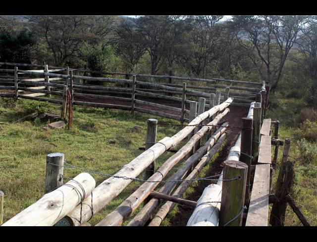 367HA FARM FOR SALE IN KOMGA